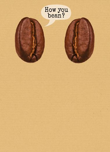 How You Bean?
