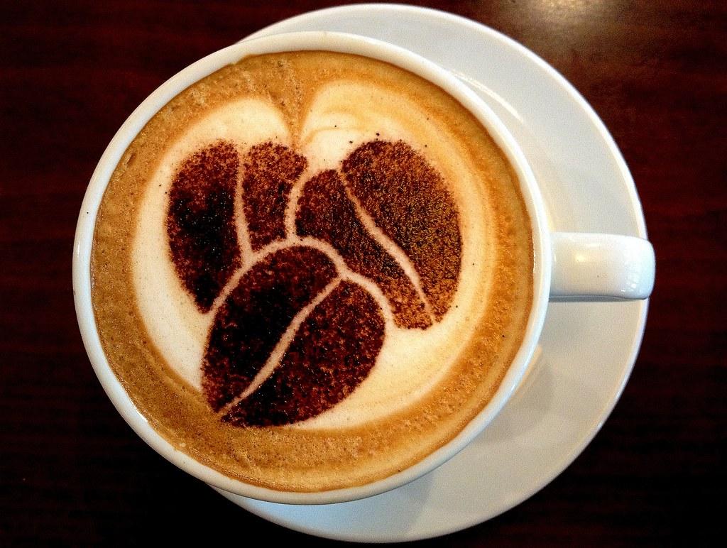 A tökéletes capuccino